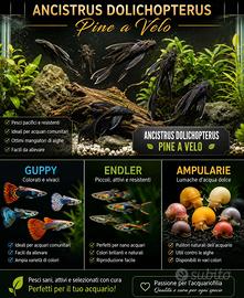 Pesci acqua dolce, pesci tropicali