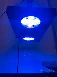 Lamapada acquario marino radion xr30 g3