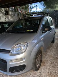 Fiat Panda 1,2 benzina
