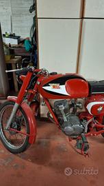 MOTO MORINI CORSARO 125