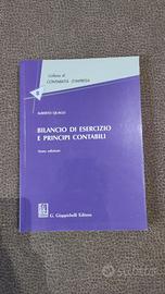 Bilancio di Esercizio e Principi Contabili