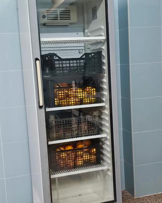 frigorifero ristorazione
