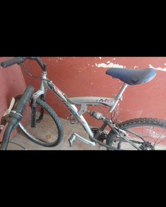 bicicletta