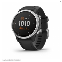 Garmin fenix 6S
