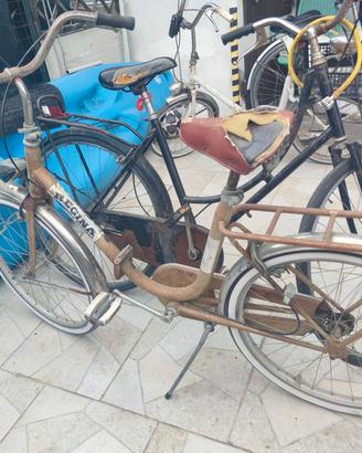 bicicletta "Graziella" 24