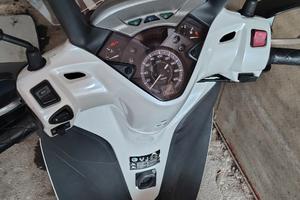 Sh 300 2014 abs