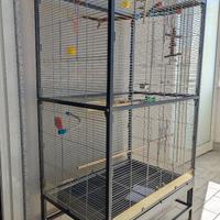 Voliera per parrocchetti e uccellini