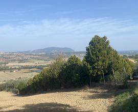 Terreno Agricolo Recanati [Cod. rif 3134832VRG]