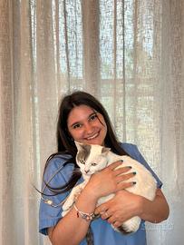 Tecnico veterinario\infermiera veterinaria