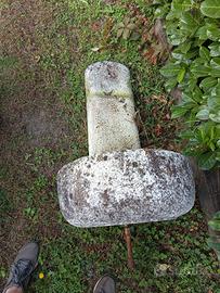 fungo in cemento 