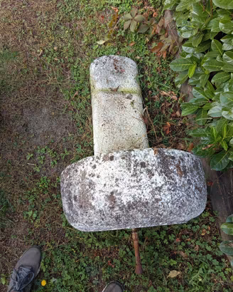 fungo in cemento 