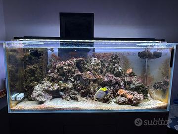 Acquario amtra 300 litri