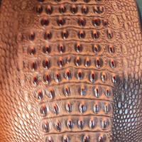 sellino posteriore moto 