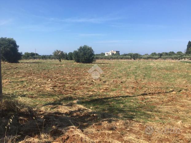 TER. AGRICOLO A POLIGNANO A MARE