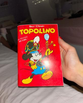 Topolino copia anastatica n=1