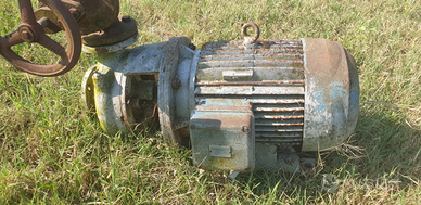 Elettropompa trifase