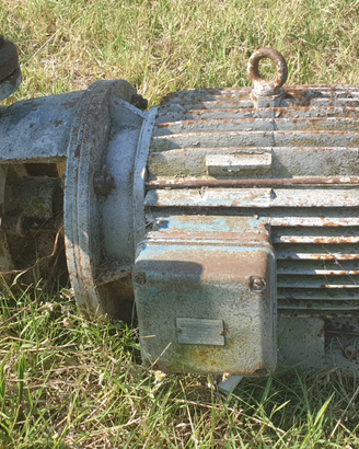 Elettropompa trifase