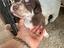 Immagine 1