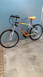 Bicicletta da 26”