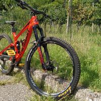 TRANSITION SCOUT CARBON 2021