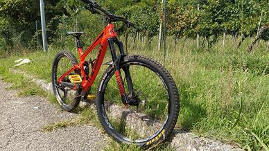 TRANSITION SCOUT CARBON 2021