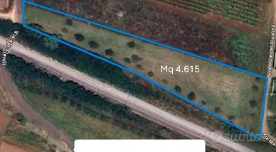 Terreno via dei fienili