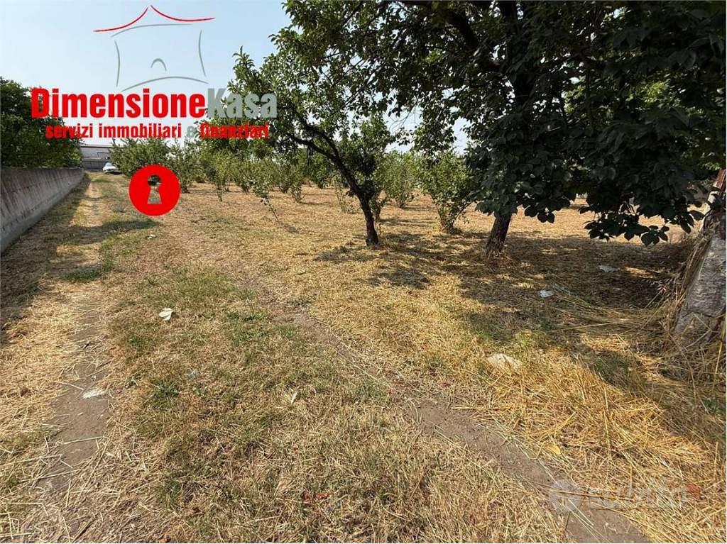 Terreno di 1624 m² a Nola - Vista 3
