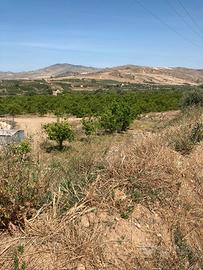 RGE 64/2017 Trib ENNA