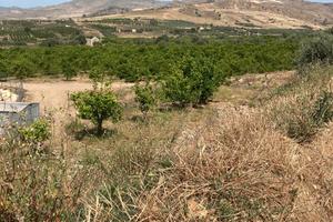 RGE 64/2017 Trib ENNA