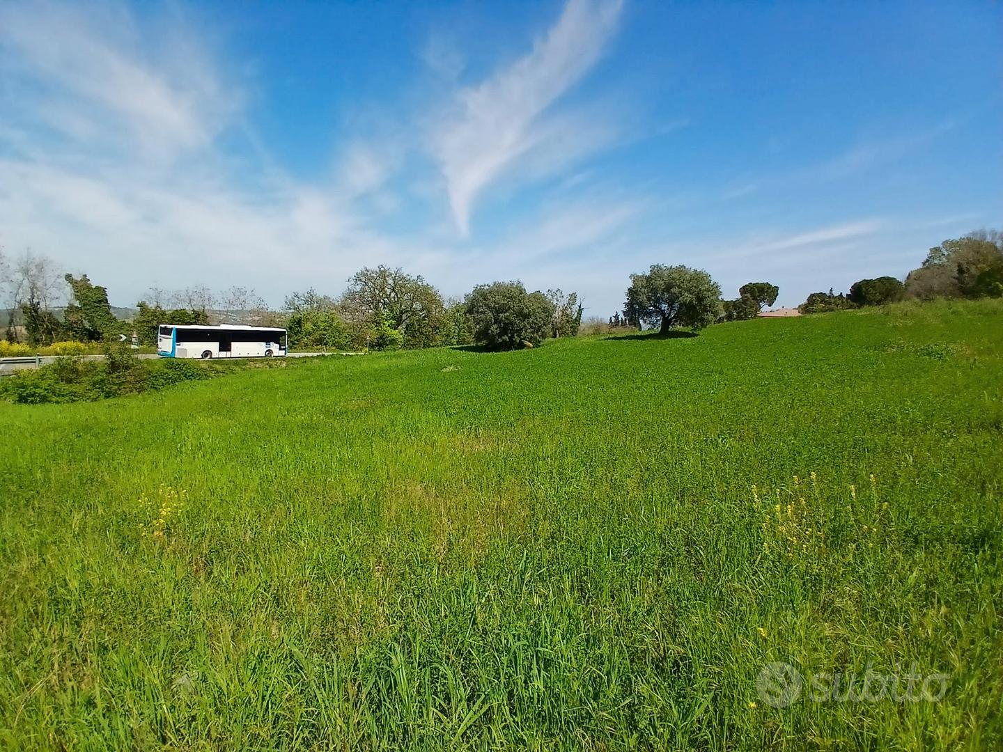 TERRENO AGRICOLO A 3 KM DA MACERATA - 1,2 ettari - Vista 4