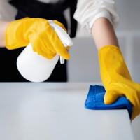 PULIZIE a ORE Disponibilita' Immediata