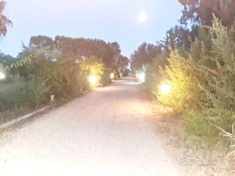 Assemini bilocale arredato con camino