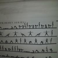 Yoga manifesto in tela