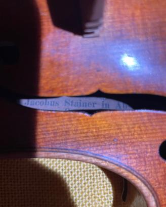 violino