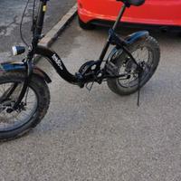 Fat bike 