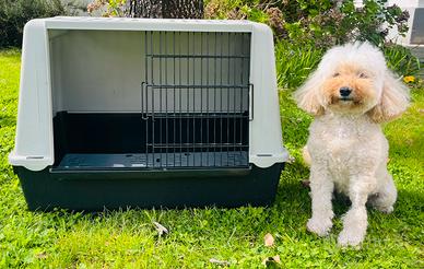 Trasportino per cani come nuovo