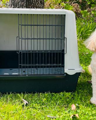 Trasportino per cani come nuovo