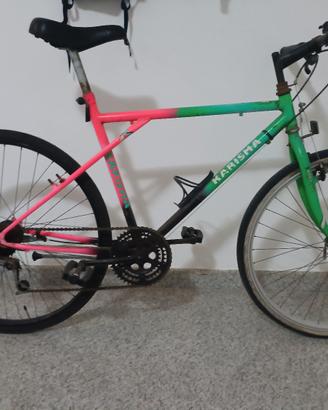 Mountain bike 26 " - Leggere
