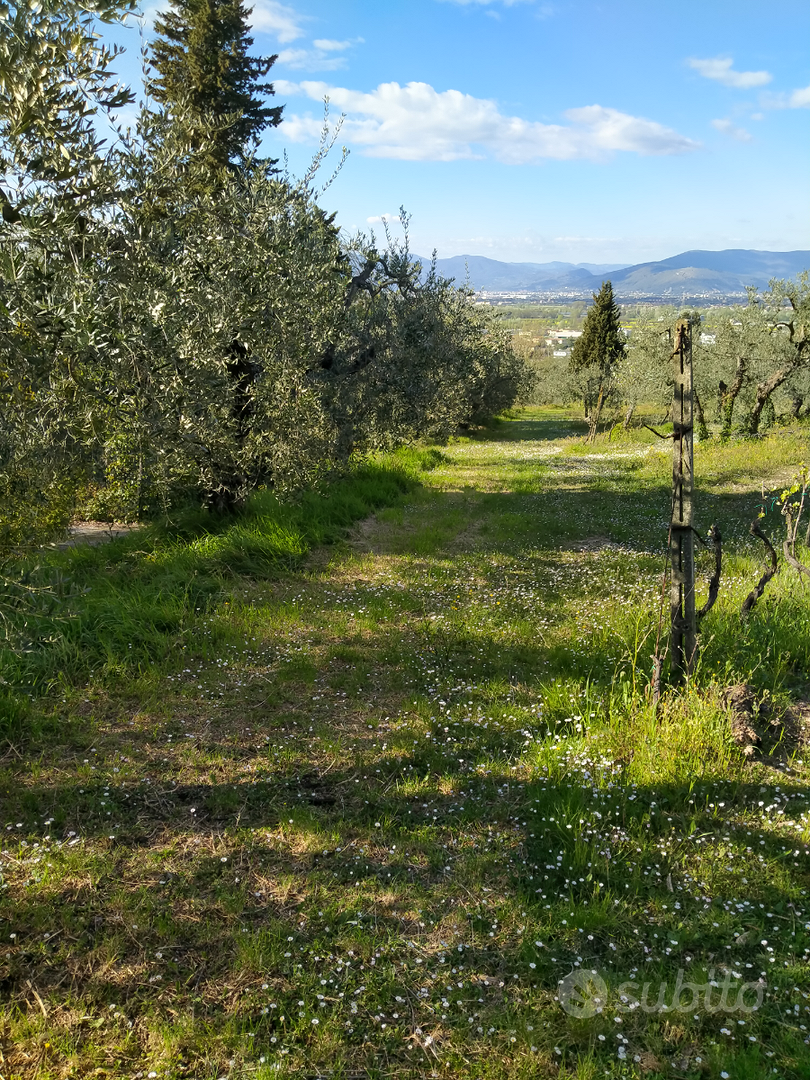 Terreno agricolo - Vista 3