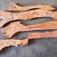 Tavole di ulivo per artisti 