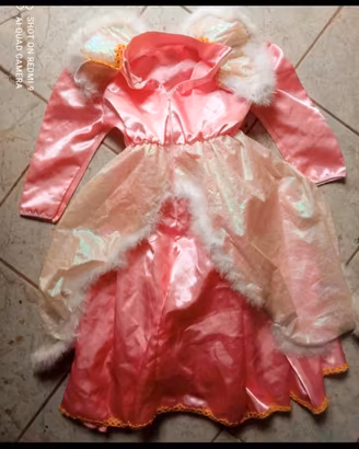 vestito di Carnevale Principessa Damigella 