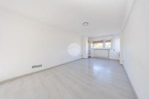 2 LOCALI A ROMA