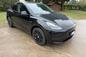 Tesla Model Y AWD Performance