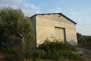 Capannone magazzino industriale terreno rudere