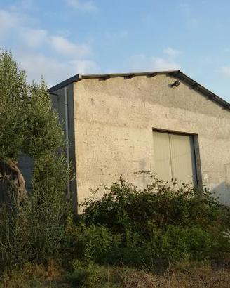 Capannone magazzino industriale terreno rudere