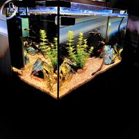 Acquario completo più accessori