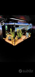 Acquario completo più accessori