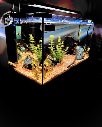 Acquario completo più accessori