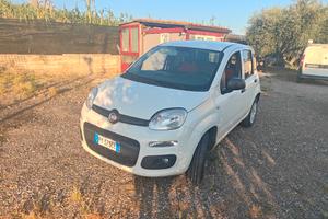 Panda Van Natural Power 0.9 