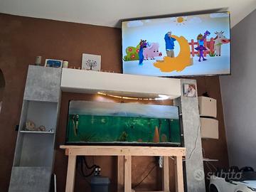 Acquario 450 litri